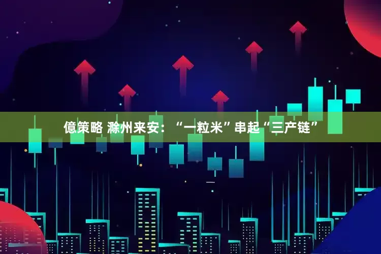 億策略 滁州来安：“一粒米”串起“三产链”