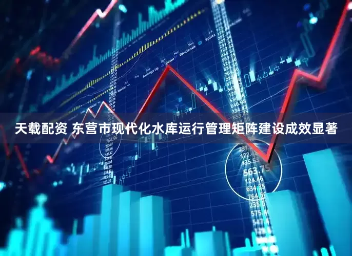 天载配资 东营市现代化水库运行管理矩阵建设成效显著