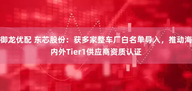 御龙优配 东芯股份：获多家整车厂白名单导入，推动海内外Tier1供应商资质认证