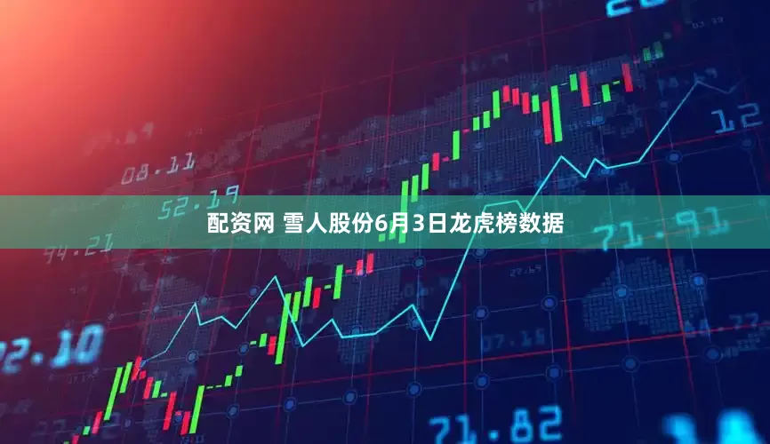 配资网 雪人股份6月3日龙虎榜数据
